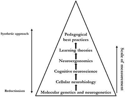 The Complexity of Remote Learning: A Neuroergonomical Discussion